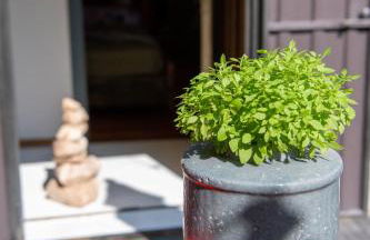 Casa Vacanze Zummer Frei Studio - Foto 9