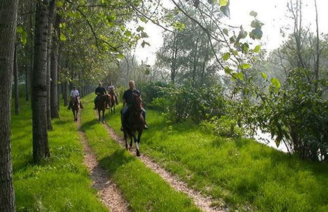 Hotel Airone - Foto 37