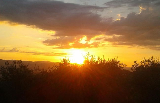 Agriturismo Il Truffarello - Foto 25