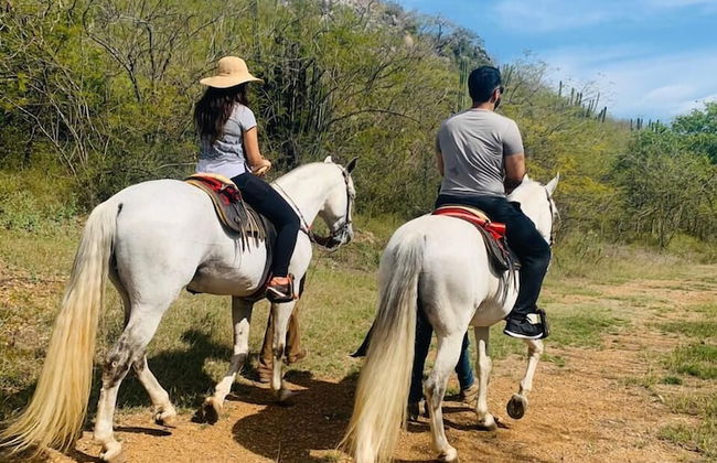 Casa Ave del Risco (Villa con río y cascada al interior) - Photo 38