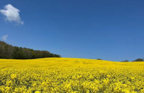 Quirky Barn Conversion Crowhurst Battle - Foto 29