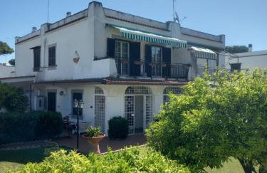 Max House - Foto 43