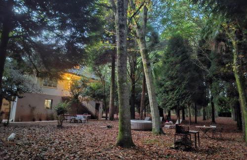 Oasis Ponte San Lázaro - Photo 31