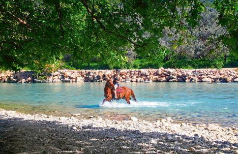 Sunset House - Foto 24