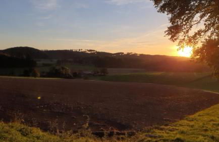 FeWo Harling - Waldoase - Foto 19