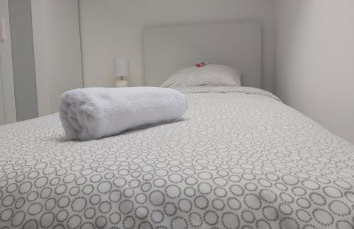 Apartman DORIS-Sveta Nedelja - Foto 10