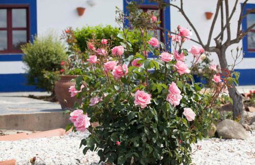 Herdade das Pintas - Foto 21