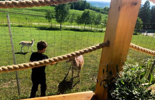 Domek Kołodziejowo z jacuzzi Góry Sowie Góry Stołowe - Foto 8