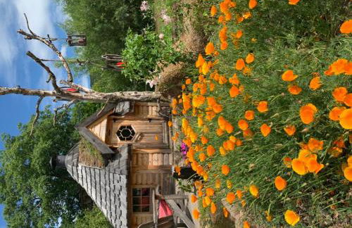 Le chalet des Cambuses - Foto 14