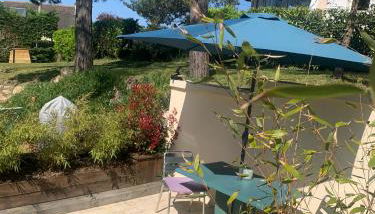 Dune et Terrasse - Photo 5