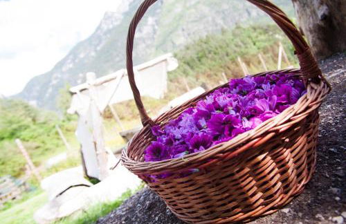 AGRITURISMO BORGO DAMOS - Foto 26