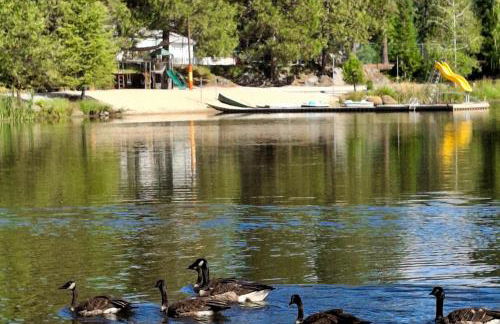 1BR Dog-Friendly Lakefront Cabin with Canoes - Foto 22