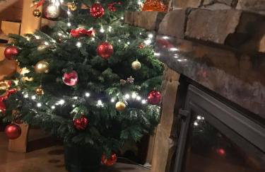 Domek Nad Rozlewiskiem z kominkiem - Foto 22