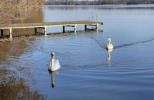 Ferienhaus Pirol - Photo 34