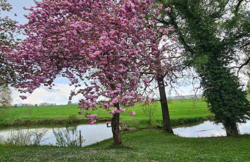 Gästehaus Eicherhof - Foto 10
