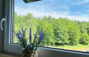 Apartament „Pod Zielonym Dachem” - Foto 21