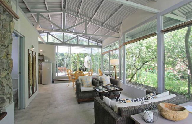 Relaxing Sound of River Birds Squirrels - Foto 15