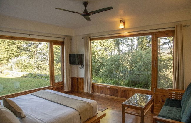 Green Chaklu - Foto 6