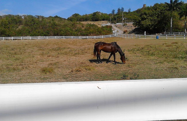 Sea Symphony Villa - Foto 35