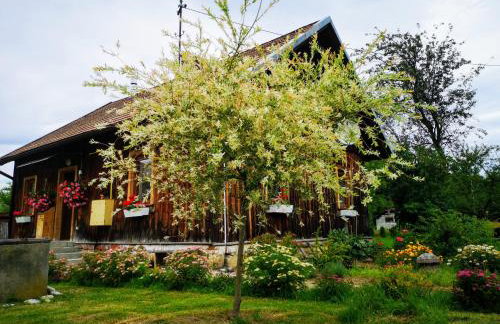 Wieś odNowa - Photo 46