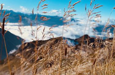 Landhaus am Schneewittchenberg - Foto 31