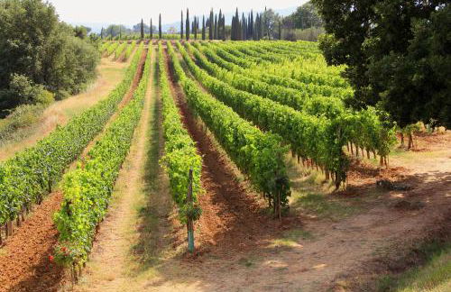 Agriturismo La Piana - Foto 125