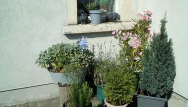 Ferienwohnung Monteurzimmer Bretnig WiFi Waschmaschine Parklpatz kostenlos - Foto 5