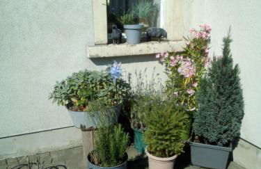 Ferienwohnung Monteurzimmer Bretnig WiFi Waschmaschine Parklpatz kostenlos - Foto 5