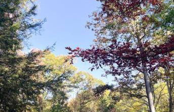 Bern's Summit Solitude: Stream-Front Serenity - Photo 36