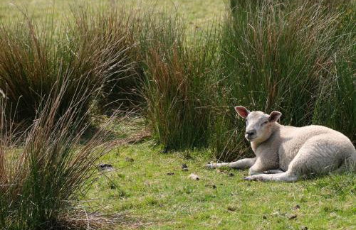 Peter's Farmhouse - Foto 37