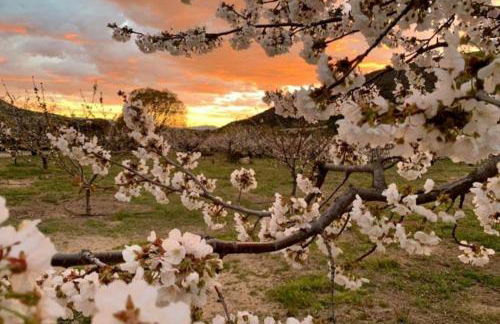 Apartamento Turistico Rio Jerte - Foto 2