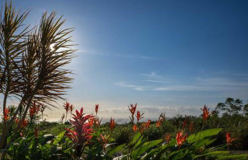 The Aloha Green House Retreat with Ocean Views! - Foto 28