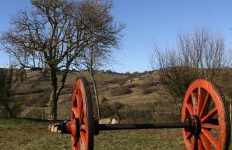 Agriturismo La Guinza - Pool & Relax - Foto 69