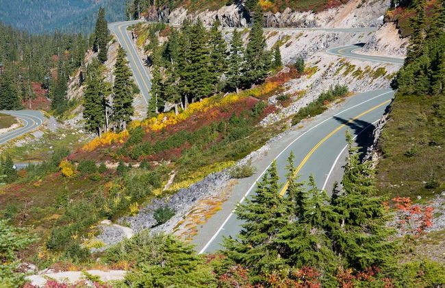 94SLL - Inexpensive - Fireplace - WiFi - Sleeps 4 - Foto 15