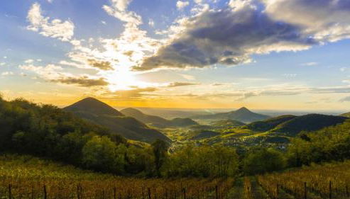 Residence Magnolia - Foto 3