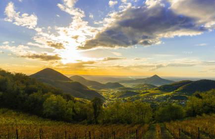 Residence Magnolia - Photo 3