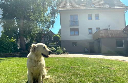 Ferienwohnung Seeleshof - Foto 14