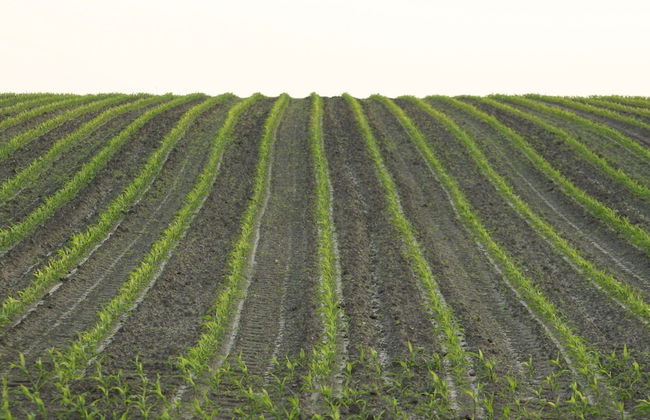 Chalet in Ootmarsum on Kuiperberg - Foto 22