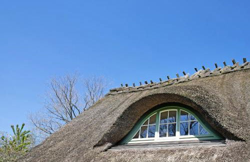 Ferienwohnung Galerie unterm Reet - Foto 30