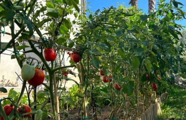 Alto Giardino - Foto 30