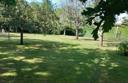 Villa M St Arnoult - Foto 34