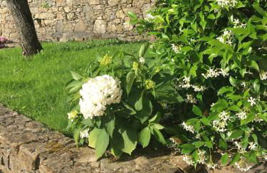 Villa CieloMare - Foto 39