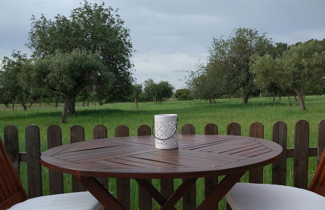 Agroturismo Sa Vinya d'en Palerm - Foto 39