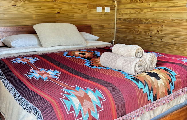 Into the Wild - Foto 4