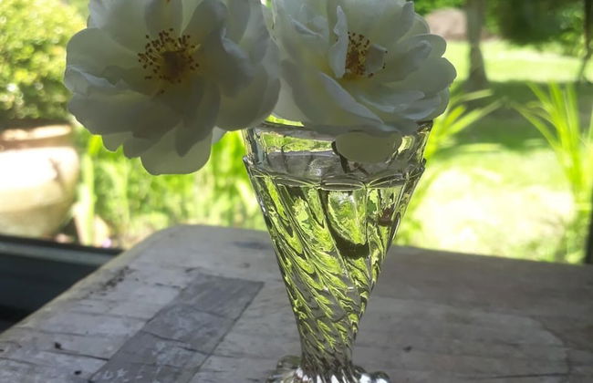 A Cortiña de Canalarrana - Foto 28