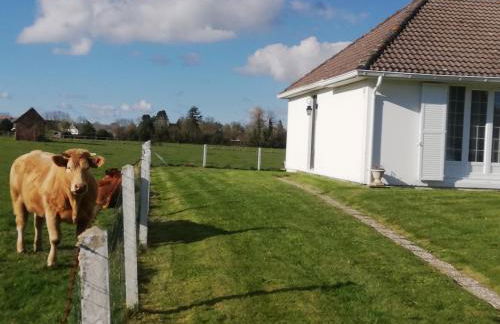 L'Opaline, Jolie Maison avec Jardin 6 pers,10km Honfleur, linge et internet inclus - Foto 50