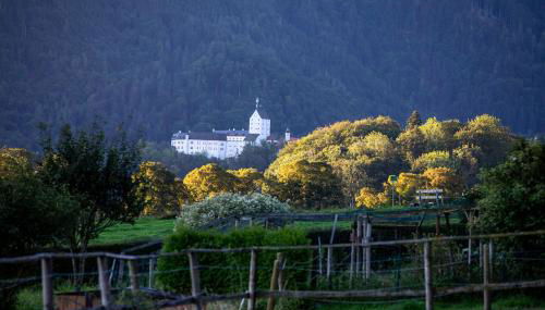 Ferienwohnungen Erlebnisnaturhof - Foto 4