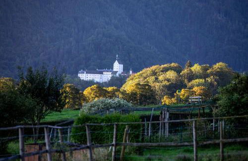 Ferienwohnungen Erlebnisnaturhof - Foto 4