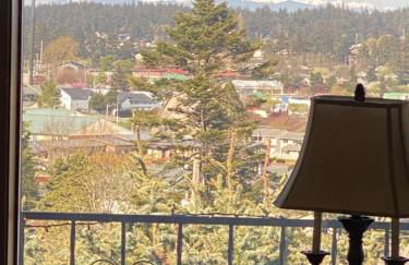 Mt. Baker View Harbor King Bed Fire Pit - Foto 19