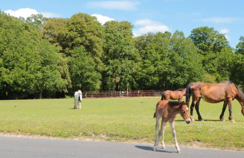 Downton Lodge - Photo 26